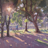 "Morning Light Burst"