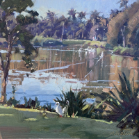 "Morning Ducks"